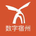 数字宿州app图标