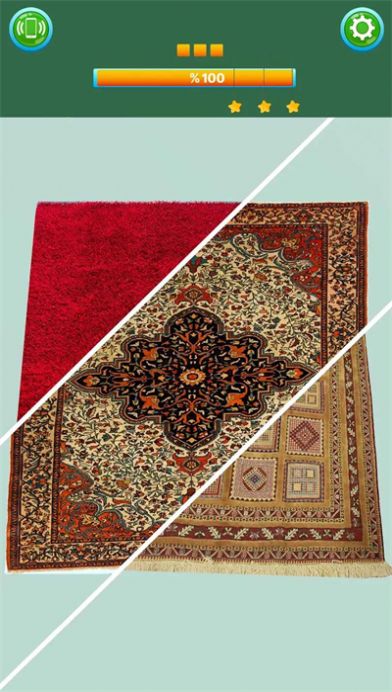 Carpet Cleaning最新版图3