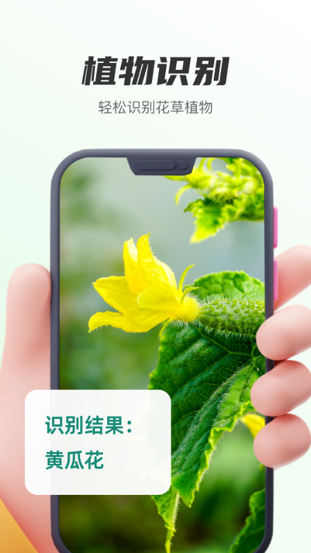 植物识别王app图1