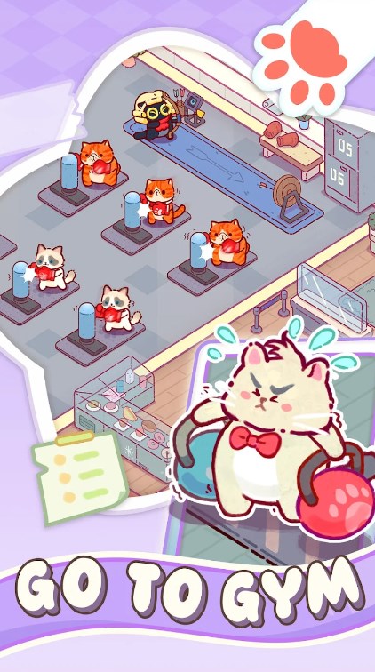 健身猫游戏