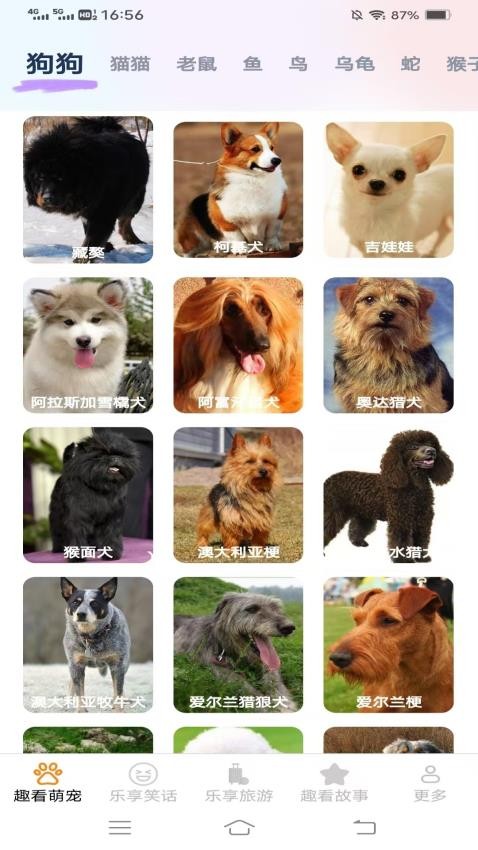 乐享趣看app