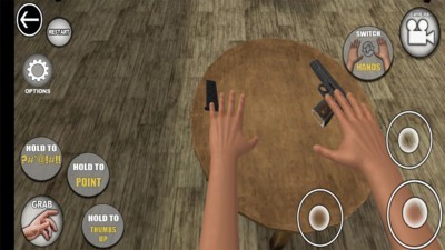 手掌模拟器（Hands 'N Guns Simulator）图2