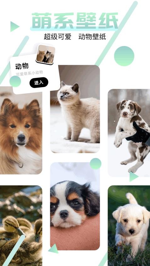 神图订制app图2