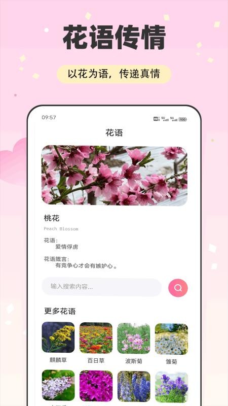 伊人t软件