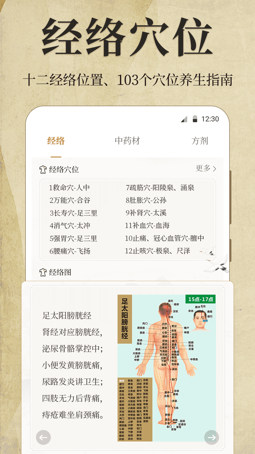 中医iBody经络穴位软件