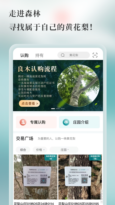 良木森林手机版图1