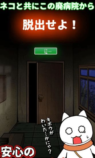 ネコと廃病院