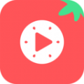 西红柿短剧app图标