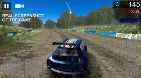 Rally Championship游戏图3