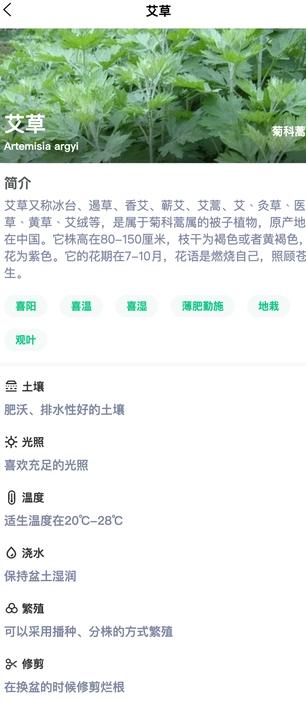 土豆植物最新版图4