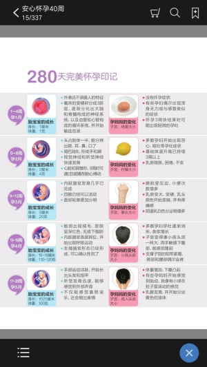 安心怀孕40周官网版