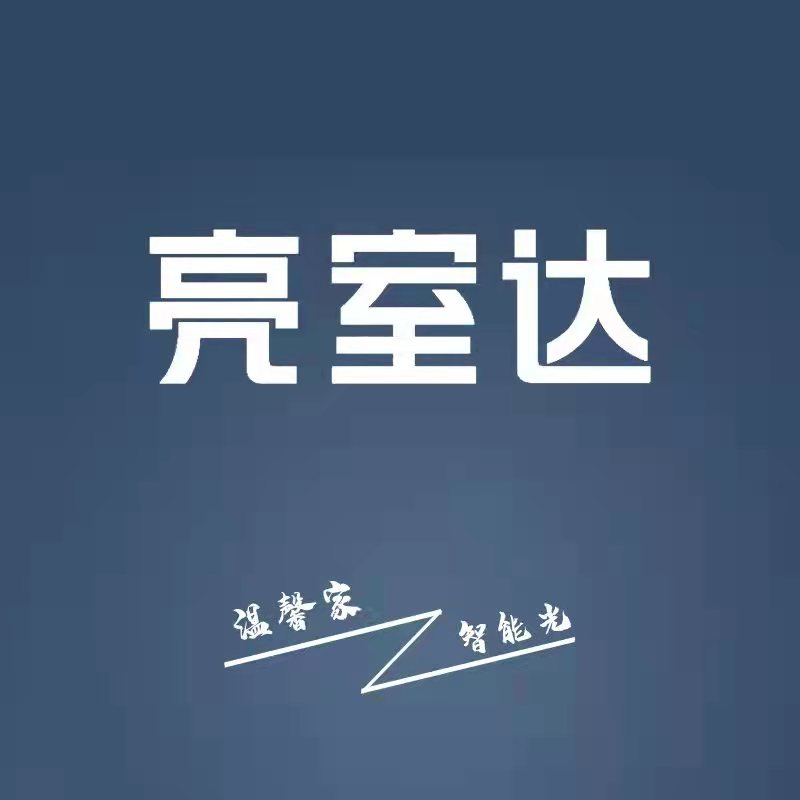 亮室达灯控app图标