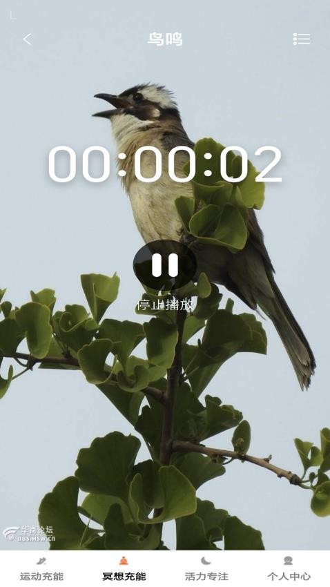 活力乐充APP图2