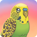 Bird Kind安装器游戏图标