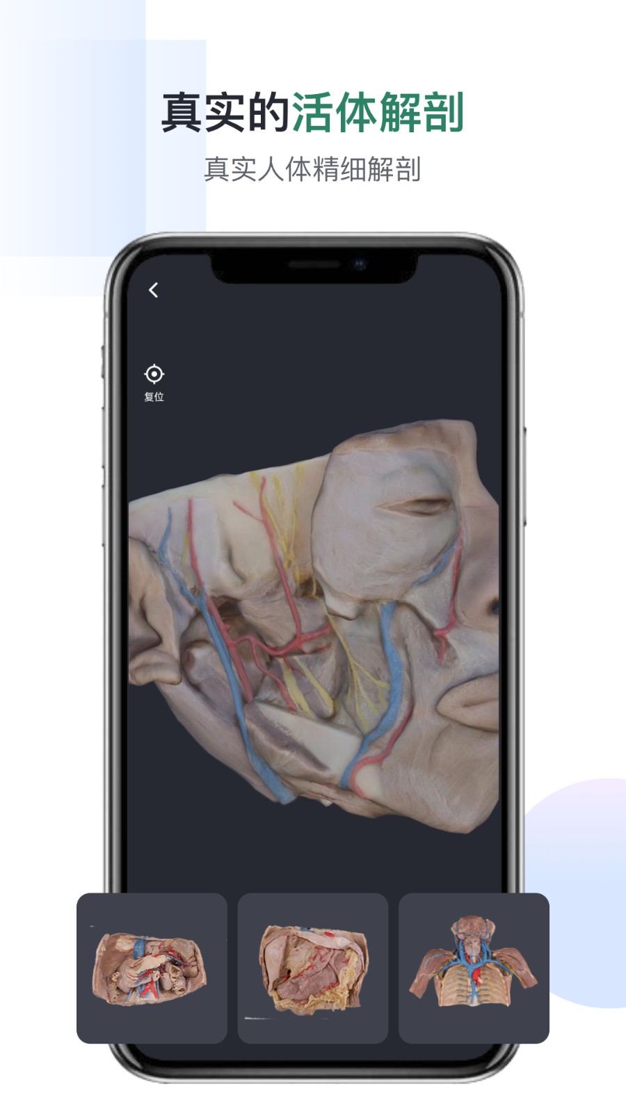 口袋人体解剖手机版图2