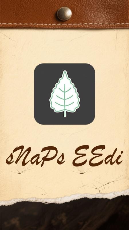 sNaPs EEdi软件图3