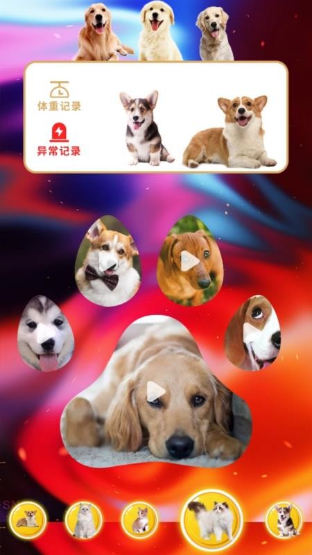 agosda翻译助手app图2