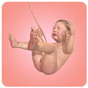 Idle 9 Months图标