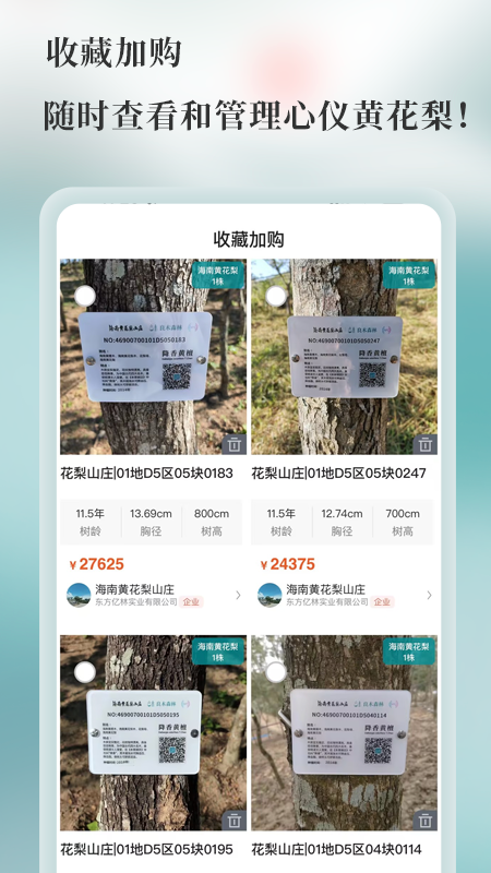 良木森林手机版图3
