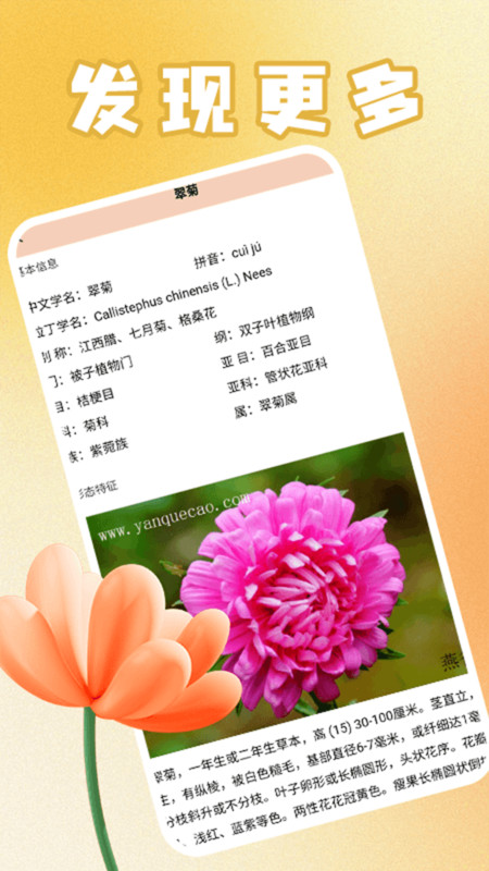 花满人间花语安卓版图2