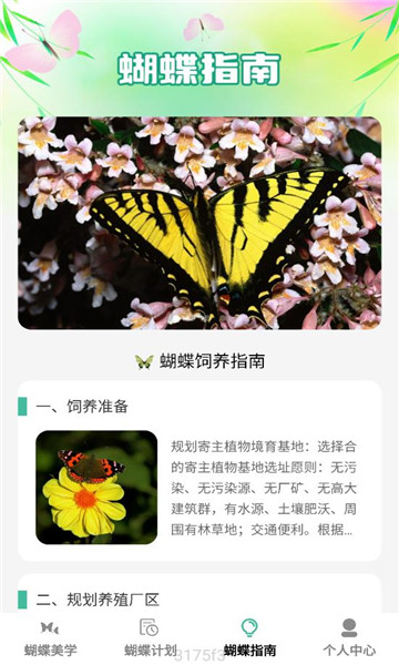 蝴蝶乐刷app图3