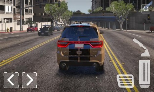 杜兰戈模拟器（Durango Simulator）图3