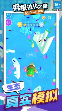 究极进化之路图1
