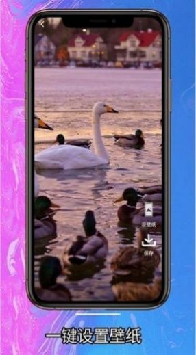 简约壁纸app图3