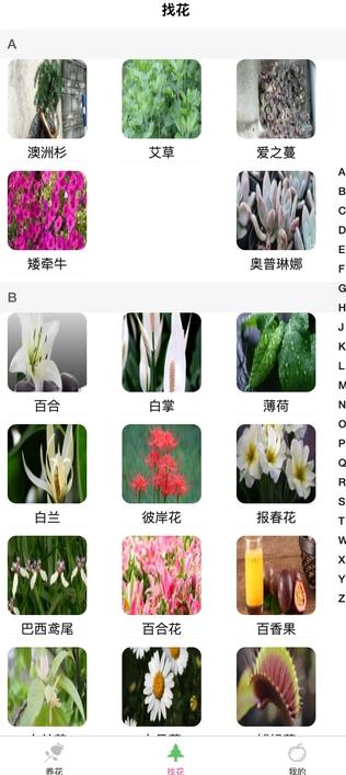 土豆植物最新版图3