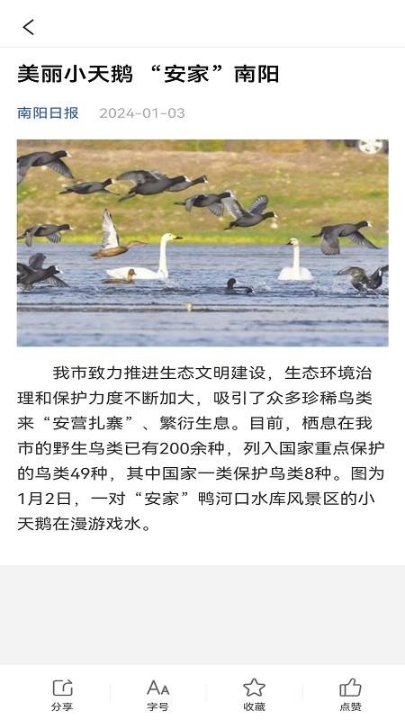 南阳政务app图3
