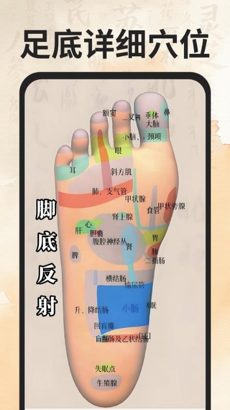 穴位经络图谱app