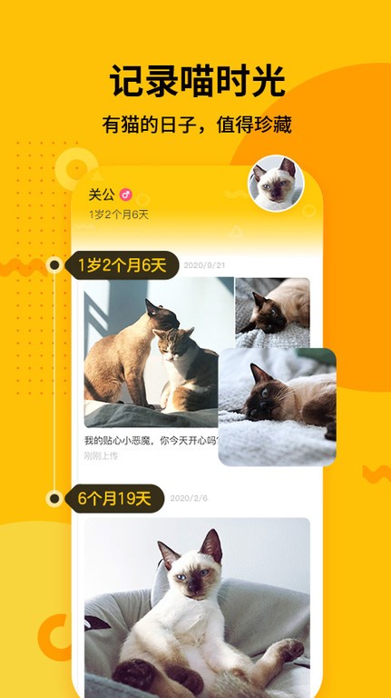 爪叽app图2