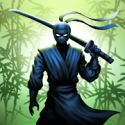 忍者武士暗影格斗图标