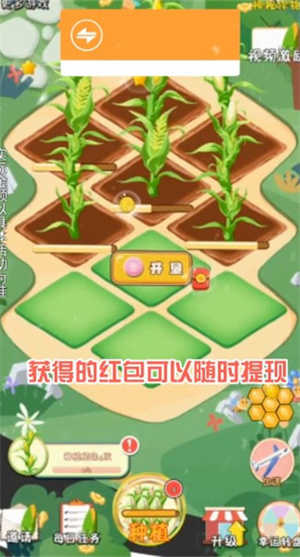 飘香玉米田-红包多多游戏