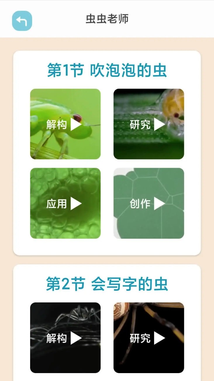 画画梯app