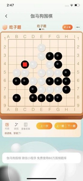 伽马狗围棋app图1