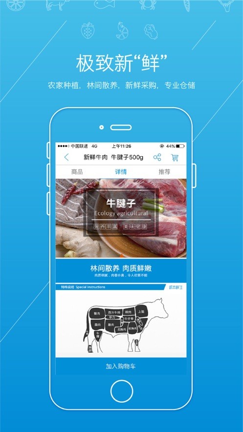 虾笨鲜生软件图1
