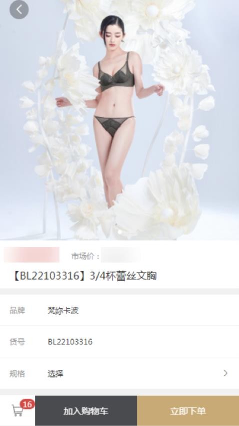 梵妳卡波ERP软件图1