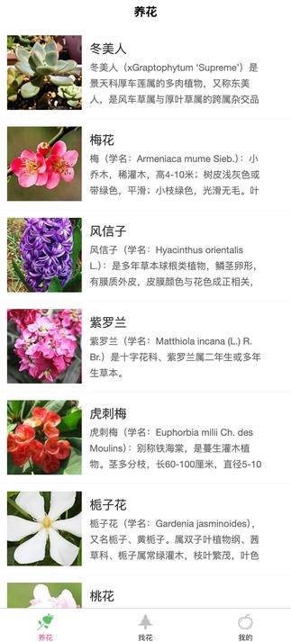 土豆植物最新版图2
