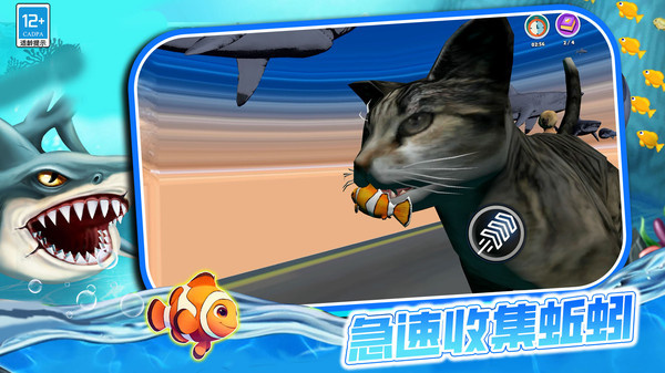 这一关稳赢游戏图4
