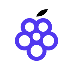 树莓盘app图标