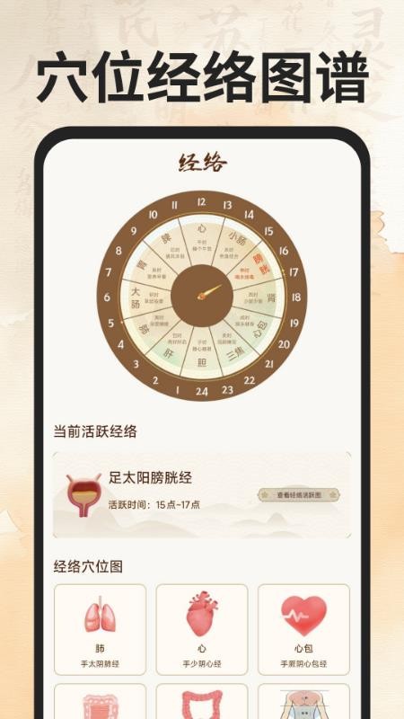 穴位经络图谱app图2