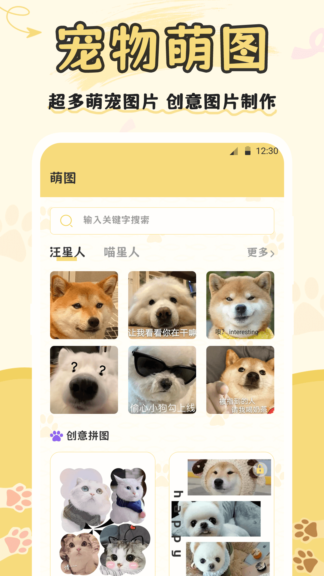 猫语app图1