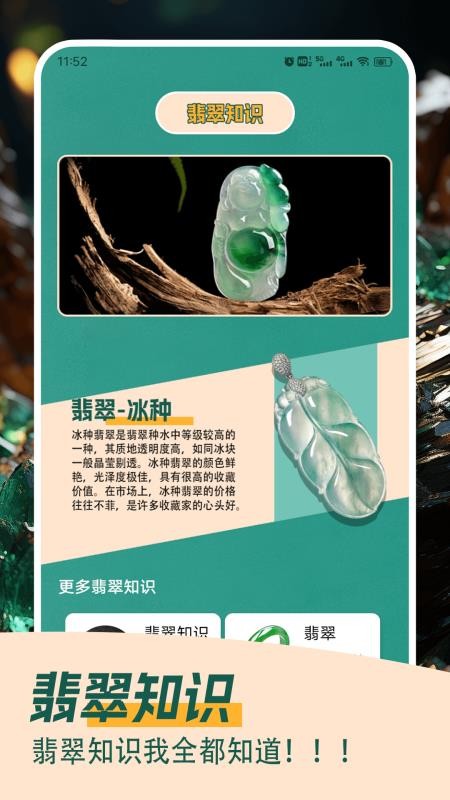 翡翠大王急速版app图3