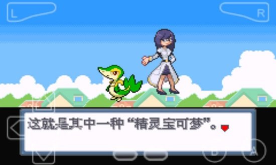 口袋妖怪：白金光