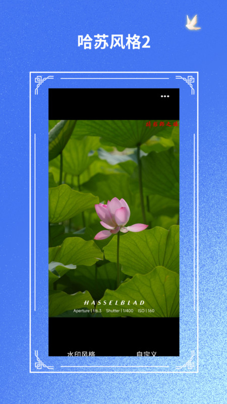 摄影师之眼app