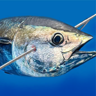 Fishing Hunter手机版图标