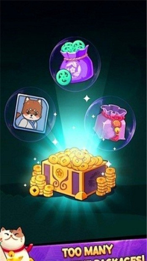 忍者闪光拼图(Ninja Flash Puzzle)图1