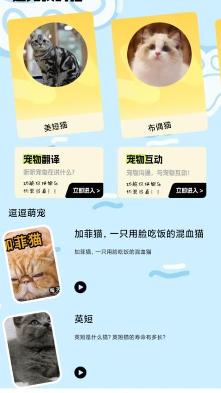 我的猫翻译app图1