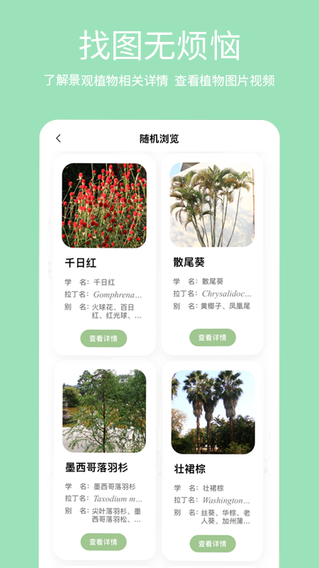 绿图官方版图1